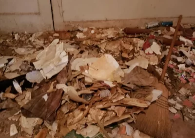 Impeccable Junk Removal